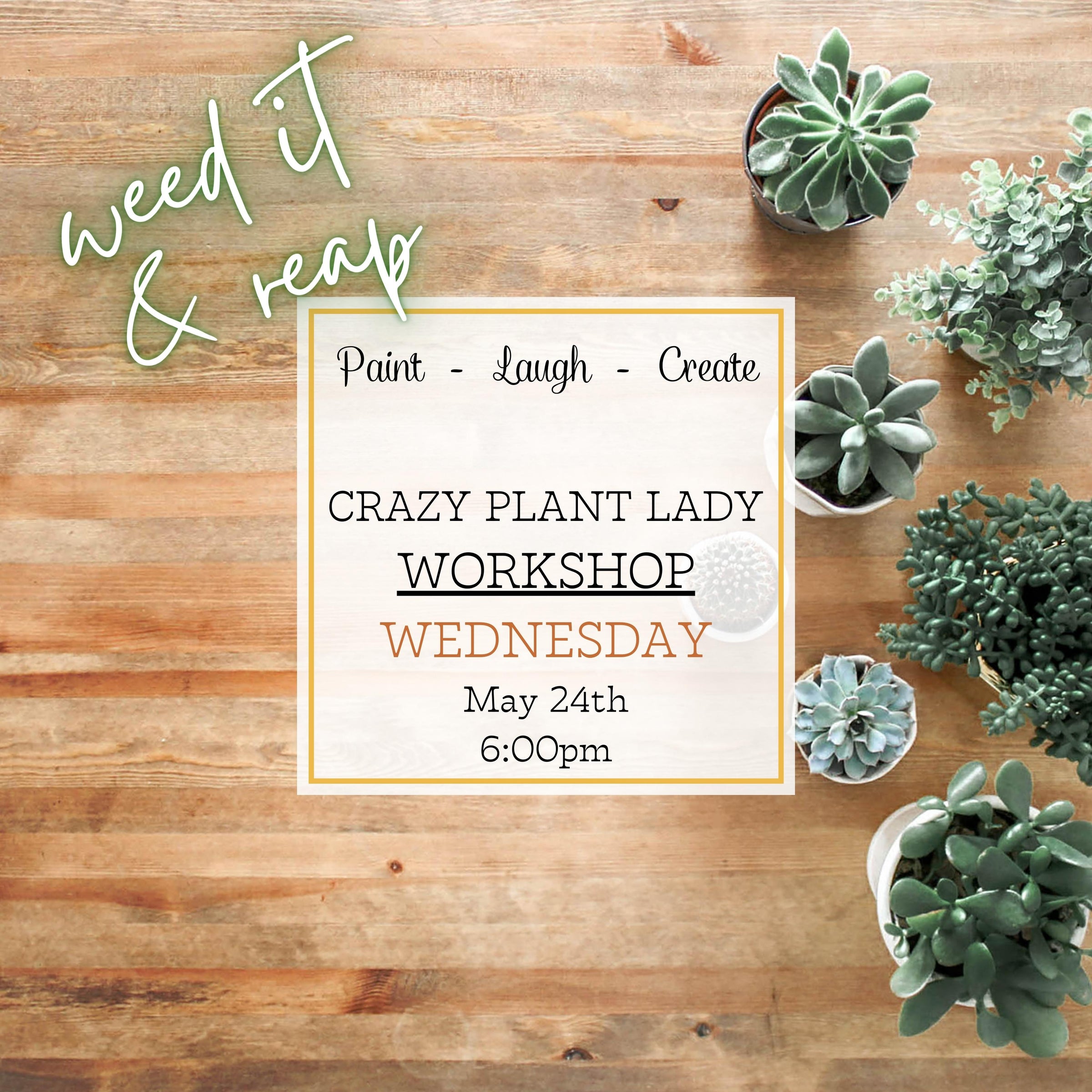 CRAZY PLANT LADY WORKSHOP - MAY 24TH, 6:00PM