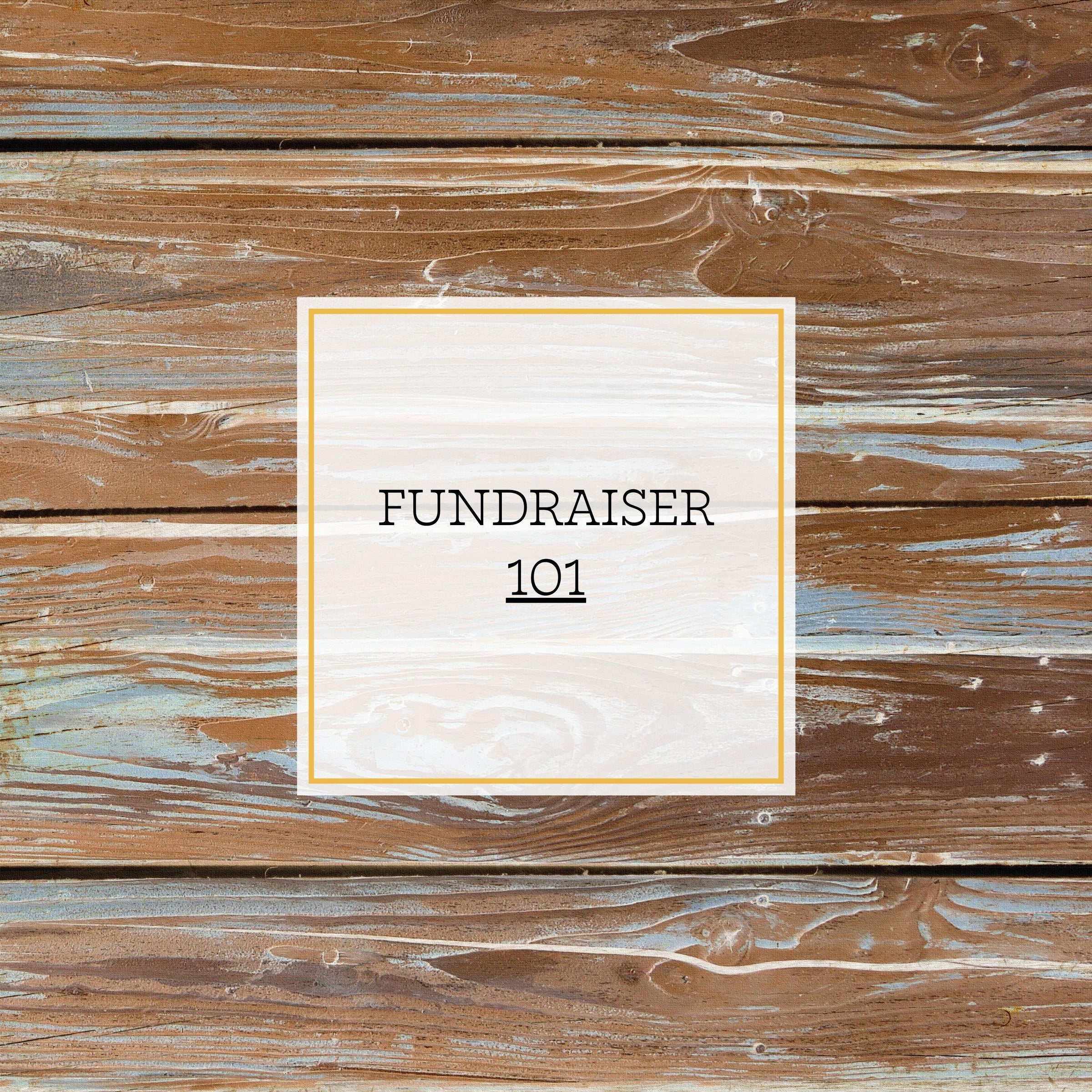 FUNDRAISER 101