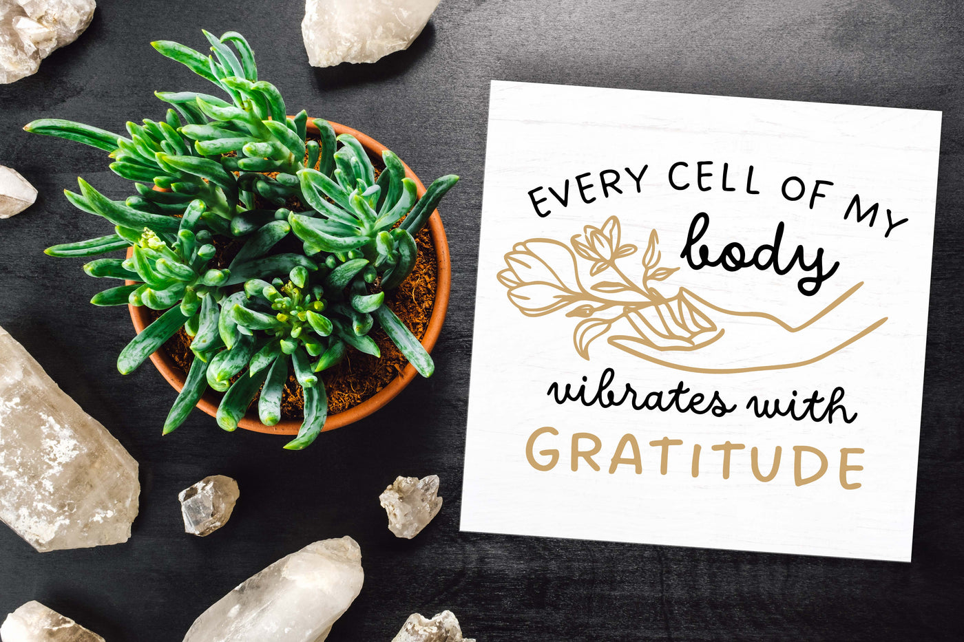 POSITIVITY -  WORKSHOP