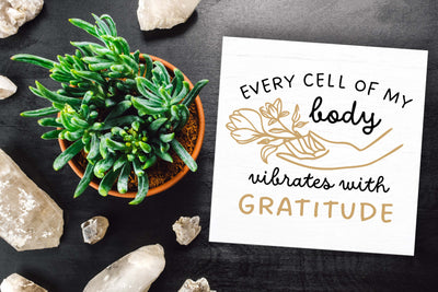 POSITIVITY -  WORKSHOP