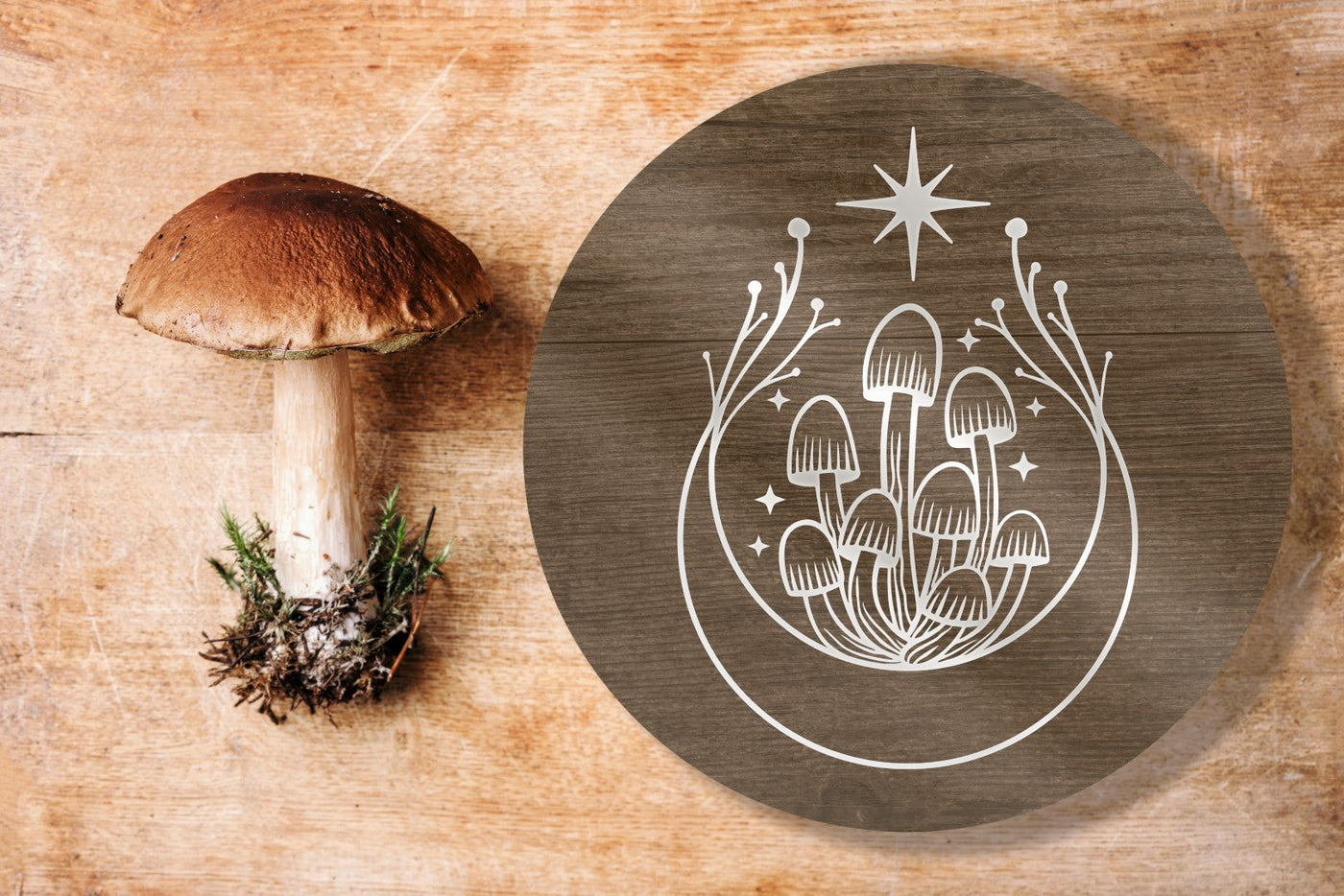 MUSHROOM MAGIC WORKSHOP