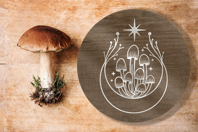 MUSHROOM MAGIC WORKSHOP