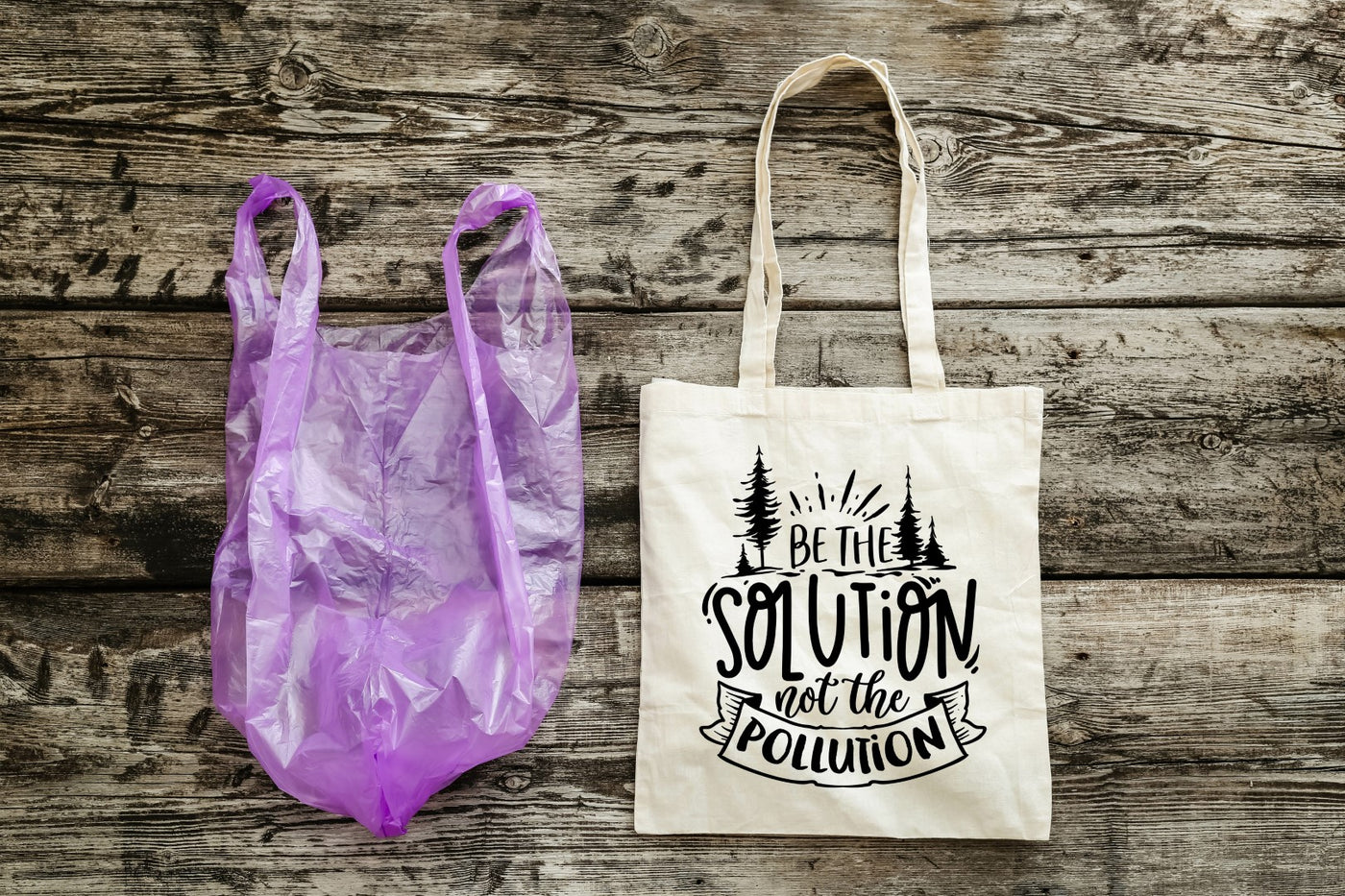 BE THE CHANGE - EARTH DAY TOTES