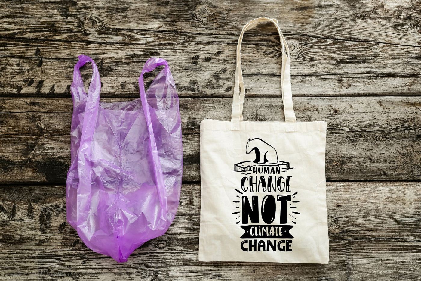 BE THE CHANGE - EARTH DAY TOTES