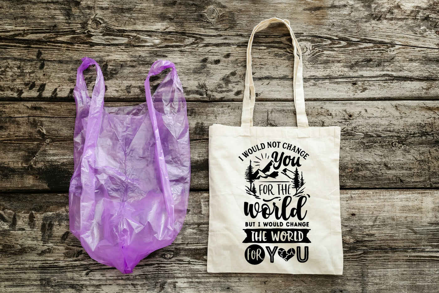 BE THE CHANGE - EARTH DAY TOTES