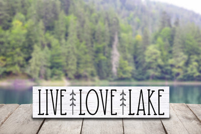 LAKE LIFE WORKSHOP