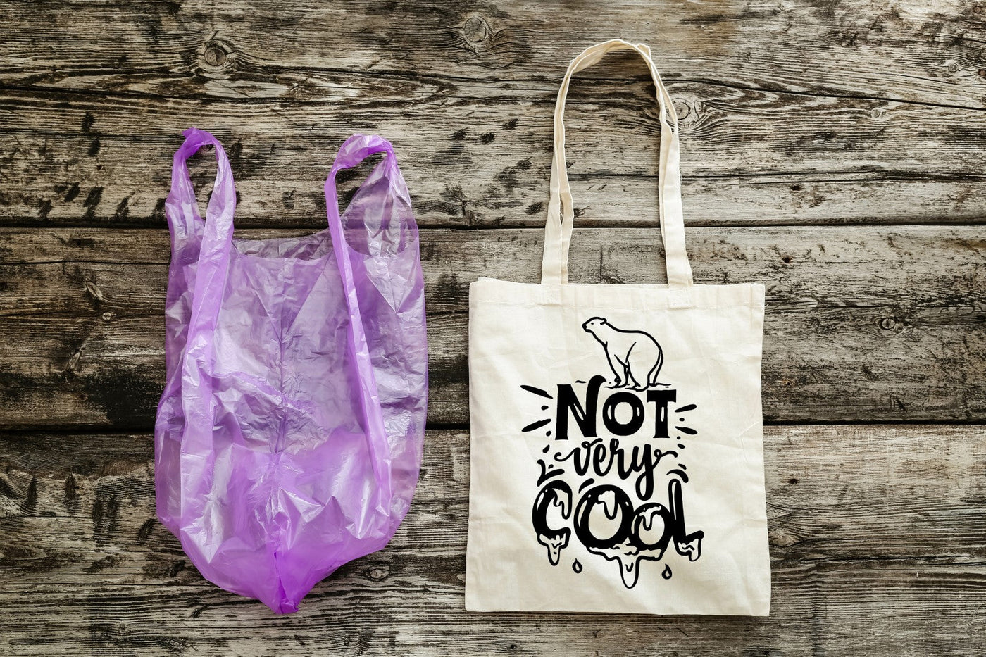 BE THE CHANGE - EARTH DAY TOTES WORKSHOP